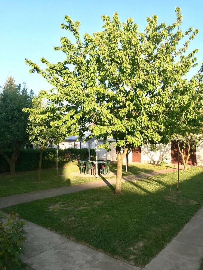 Apartmani Matosevic Ivankovo Εξωτερικό φωτογραφία